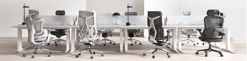 SIHOO���T�C�g